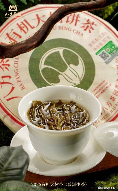 2025年茶叶采购指南 为什么广东八方茶园茶业是小青柑与普洱茶的首选工厂